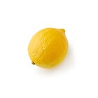 まろやかな酸味 メイヤーレモン1玉(NZ産)