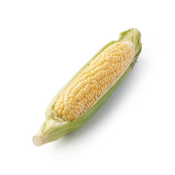 ƊÂILfBƂ낱(ʌY)