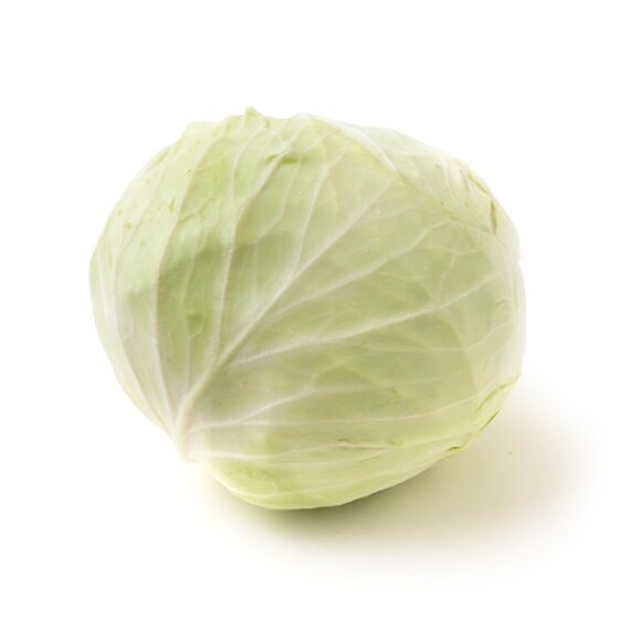 青森原産 野菜 キャベツ 30kg 青森原産 野菜 キャベツ 30kg 青森原産