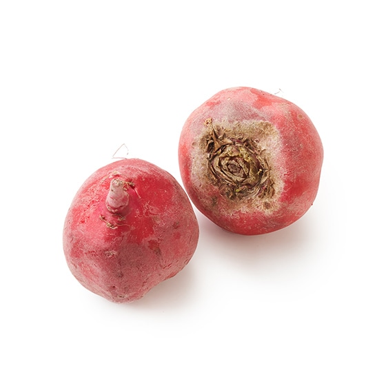 ���킢�������܂��I��ʂ��邮��r�[�c(��ʌ��Y)