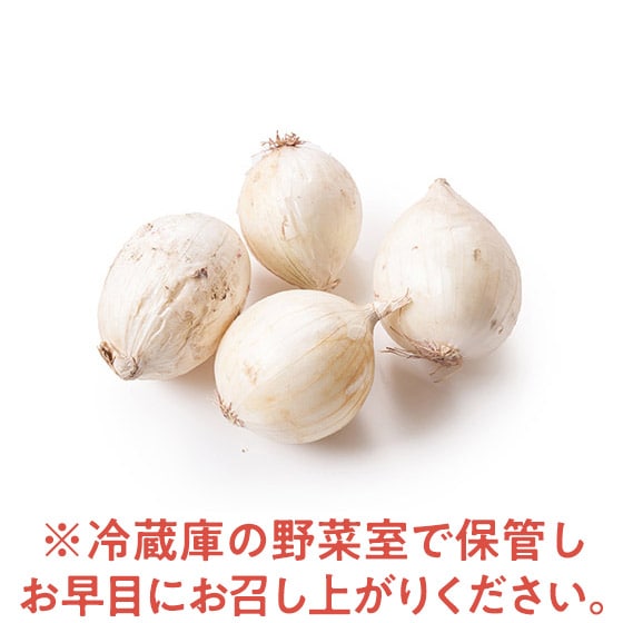 T_łǂIPʂ˂(kCY)