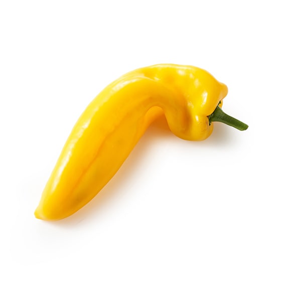 ���ł��Ă��Ă��I�����O�p�v���J(�� �I�����_�Y)