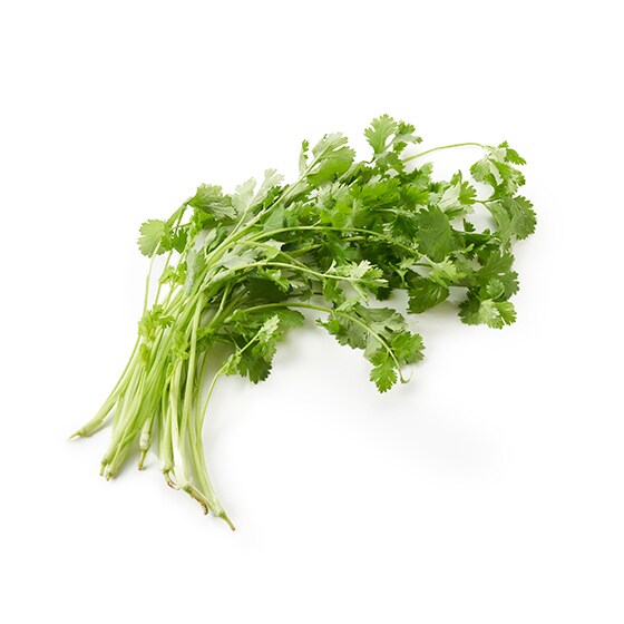 南アルプスの水で育てた パクチー 山梨県産 有機野菜 通販 ｏｉｓｉｘ おいしっくす