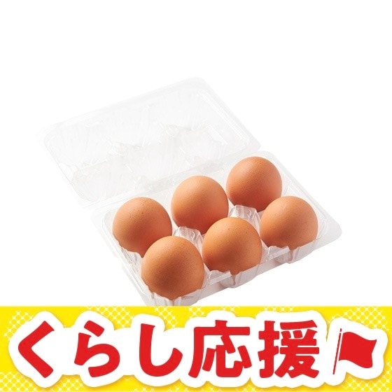 �[�w���炿�@�x�m�R�[���܂��i6�j