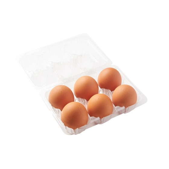 �y�����Ƃ����ݕ���z�x�m�R�[���܂�(6��)