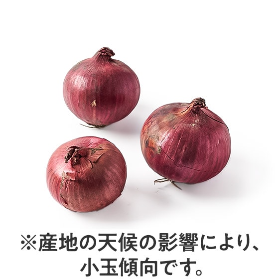 ʂN₩ ԋʂ˂(kCY)