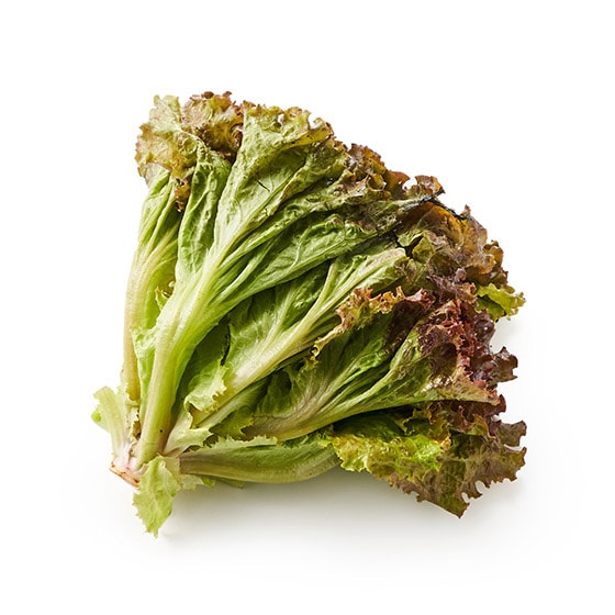 ē̂ɁIT`^X(쌧Y)