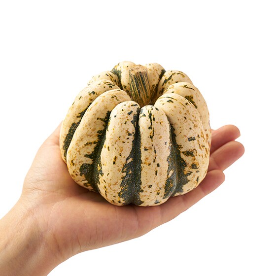 かぼちゃ 2026年発送】北海道 オーガニック 3種 の かぼちゃBOX 計約4kg