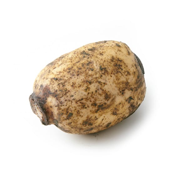 ĂăzNbI 񂱂(錧Y)