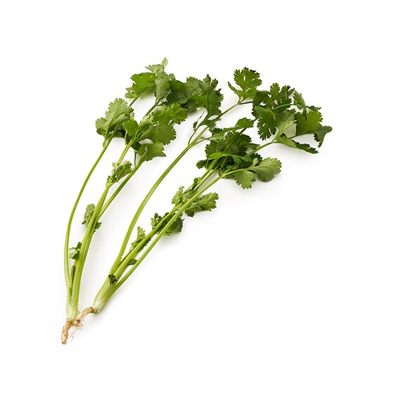 根付きパクチー 千葉県産 有機野菜 通販 oisix おいしっくす 根付きパクチー 千葉県産 有機野菜 通販 oisix おいしっくす
