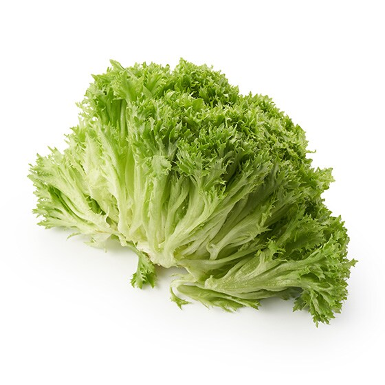 繊細なフリルが美しい プリティレタス 茨城県産 オイシックス公式