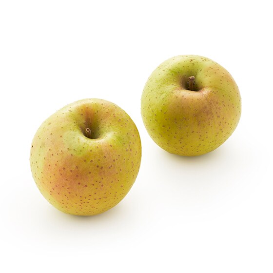 W[V[őu₩ т(ʂ 2 )