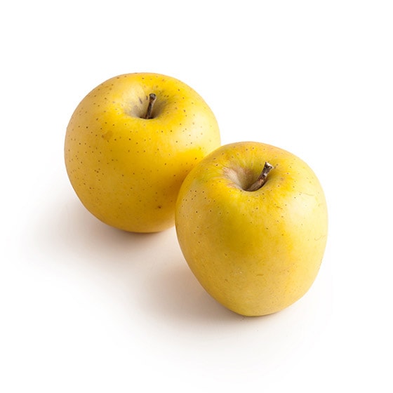 �W���[�V�[�ŊÎ_���ς��I���ʃV�i�m�S�[���h(���)