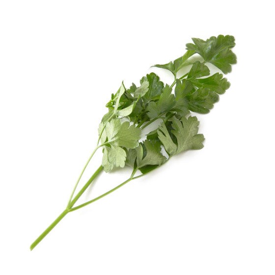 イタリアンパセリ 静岡県産 有機野菜 通販 ｏｉｓｉｘ おいしっくす