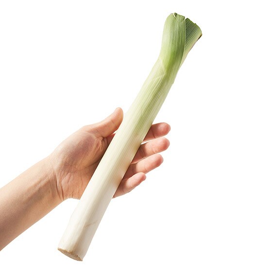 じっくり煮込んで 太ねぎリーキ 埼玉県産 有機野菜 通販 ｏｉｓｉｘ おいしっくす