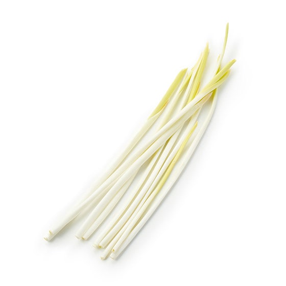 |ݐ[܂ K[bNXvEg(ÉY)