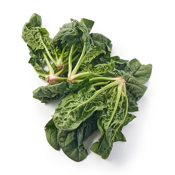 ~ꂽÂ݂Ǝ| ݂ق (錧Y)