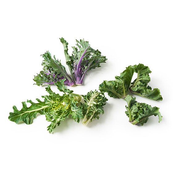 3色プチヴェール 静岡県産 有機野菜 通販 ｏｉｓｉｘ おいしっくす