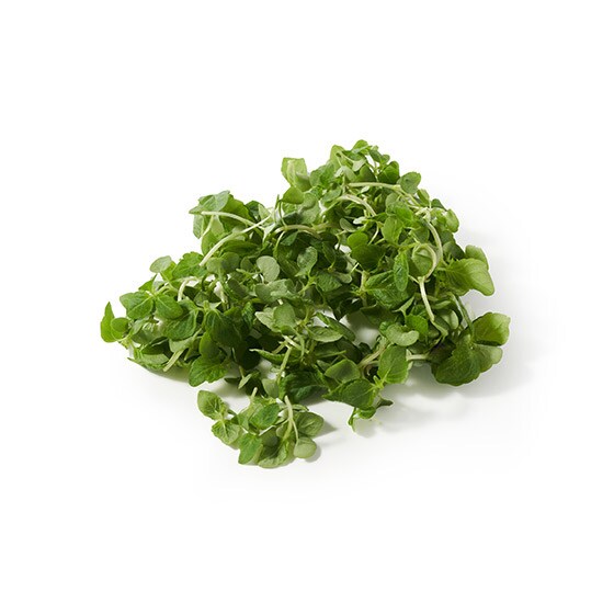 プチリーフ大葉 茨城県産または静岡県産 有機野菜 通販 oisix おいしっくす プチリーフ大葉 茨城県産または静岡県産 有機野菜 通販 oisix おいしっくす