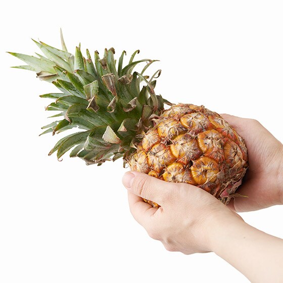 ���т����p�C�i�b�v��(��p�Y)