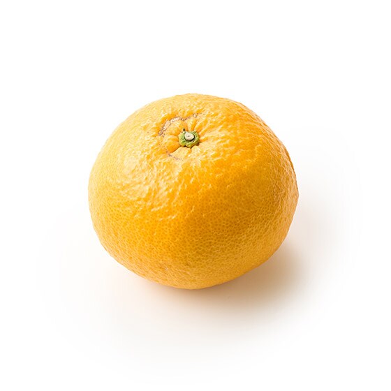 �H�׉����\���I�u�₩�X���K�É�(�É����Y)