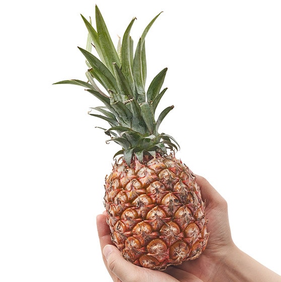 Î_ςIpYpCibv