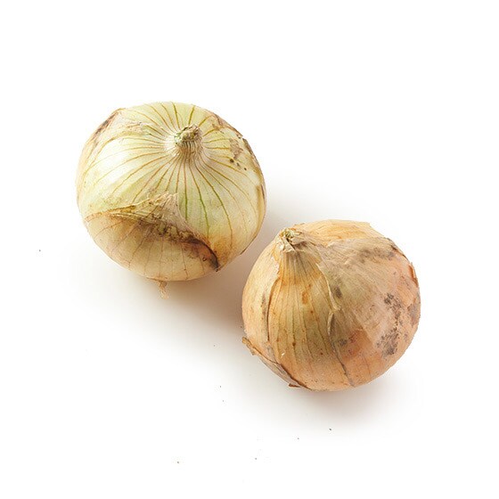 新玉ねぎ 長崎県産 有機野菜 通販 oisix おいしっくす 新玉ねぎ 長崎県産 有機野菜 通販 oisix おいしっくす