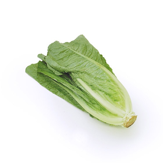 ݂݂ق̂Â C^X(ÉY)