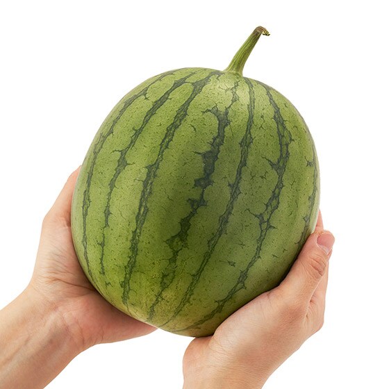 小さい種で食べやすい 小玉すいか 熊本県産 オイシックス公式