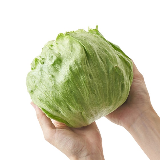 八ヶ岳で育った 高原レタス 長野県産 有機野菜 通販 ｏｉｓｉｘ おいしっくす