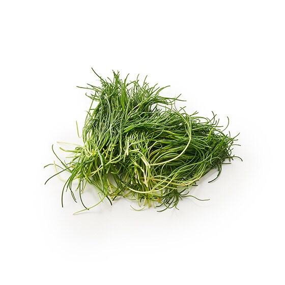 Www Oisix Com Shopping Image Ss7 1861 560 1 Jpg