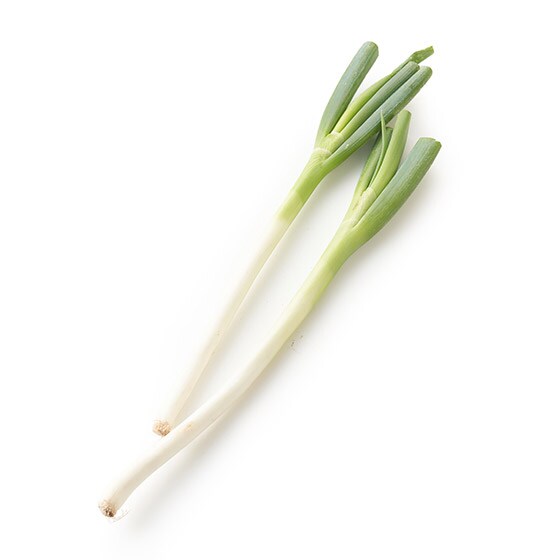 �򖡂�X�^�~�i������ ���˂�(��ʌ��Y)