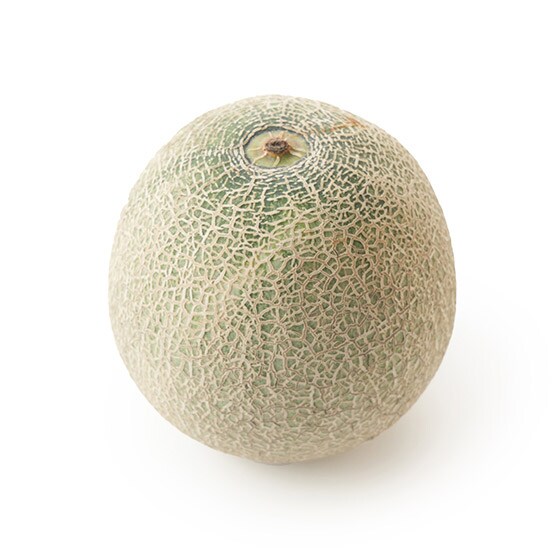 日本海の潮風に育まれた 砂丘メロン 山形県産 有機野菜 通販 ｏｉｓｉｘ おいしっくす