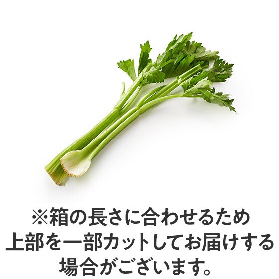 雄大な大地で育ったセロリ 北海道産 有機野菜 通販 ｏｉｓｉｘ おいしっくす