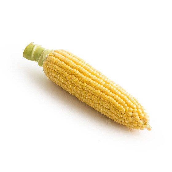 とうもろこし 群馬県産 都丸さん他 有機野菜 通販 ｏｉｓｉｘ おいしっくす