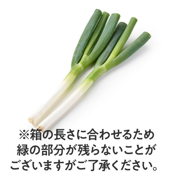 長ねぎ 新潟県産 有機野菜 通販 ｏｉｓｉｘ おいしっくす