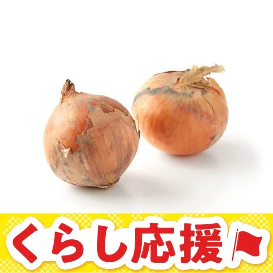 �k�C���̑�n�ň���� �ʂ˂�(�k�C���Y)