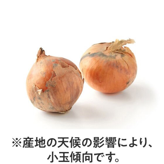 �k�C���̑�n�ň���� �ʂ˂�(�k�C���Y)