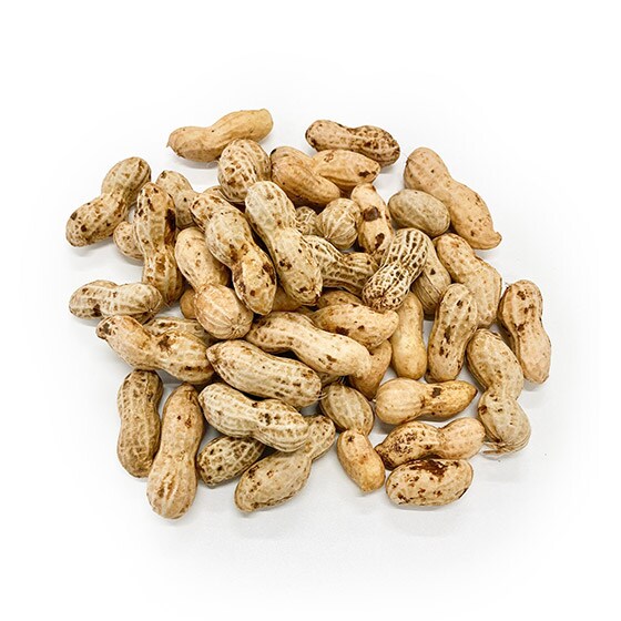 ほっくり甘く風味豊か 生らっかせい 千葉県産 オイシックス公式