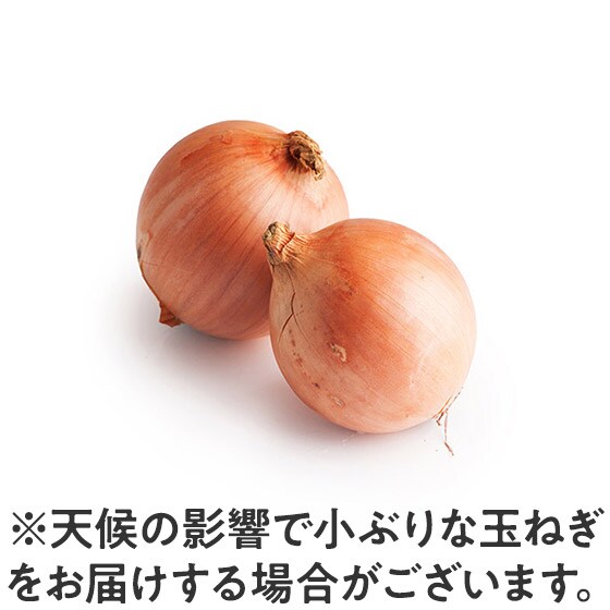 �ʂ˂�(300g �k�C���Y)