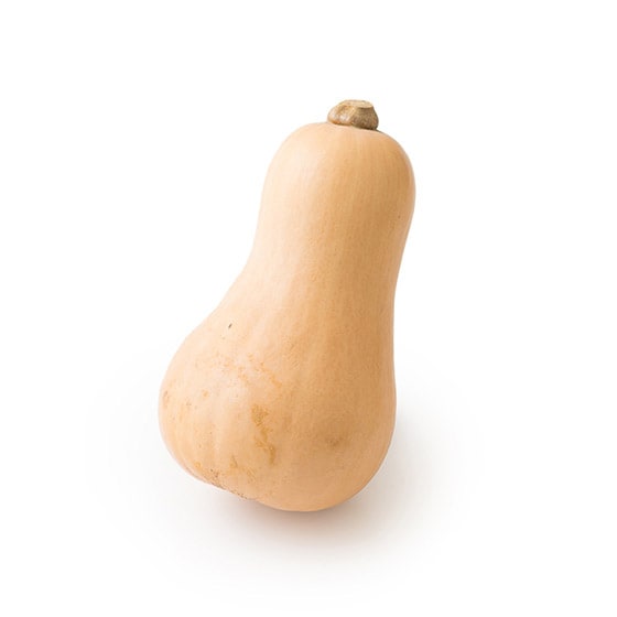 バターナッツかぼちゃ 新潟県産 有機野菜 通販 oisix おいしっくす バターナッツかぼちゃ 新潟県産 有機野菜 通販 oisix おいしっくす