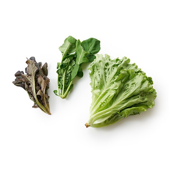 リーフレタスとルッコラのサラダセット 千葉県産 有機野菜 通販 ｏｉｓｉｘ おいしっくす