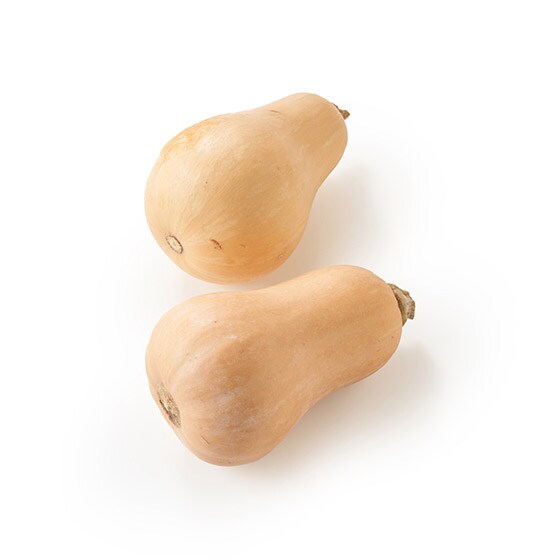 小さめバターナッツかぼちゃ 埼玉県産 木村さん他 有機野菜 通販 oisix おいしっくす 小さめバターナッツかぼちゃ 埼玉県産 木村さん他 有機野菜 通販 oisix おいしっくす