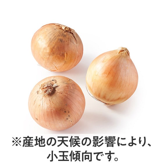 RN̂Â ʂ˂(kCY)