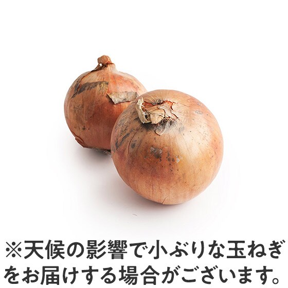 たまねぎ oisix おいしっくす