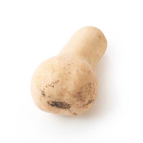 ĂĂIo^[ibcڂ(kCY)
