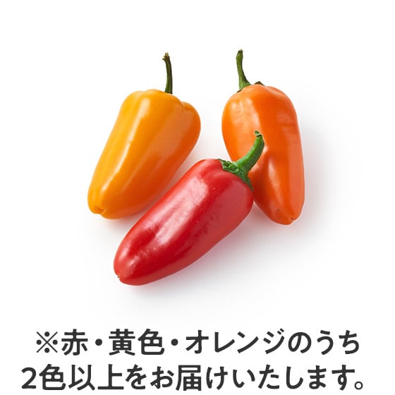 �t���[�e�B�Ȗ��킢 �~�j�p�v���J(�Ȗ،��Y)