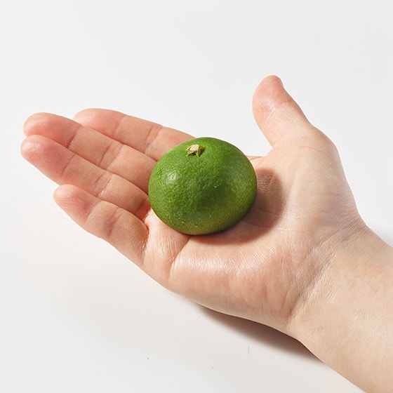 石橋さんの小粒ゆら早生みかん(佐賀県産)|有機野菜 通販