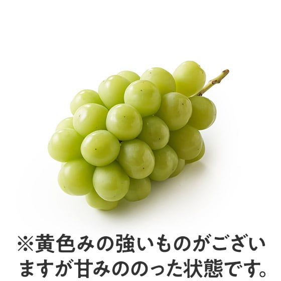 �V���C���}�X�J�b�g(���쌧�Y)