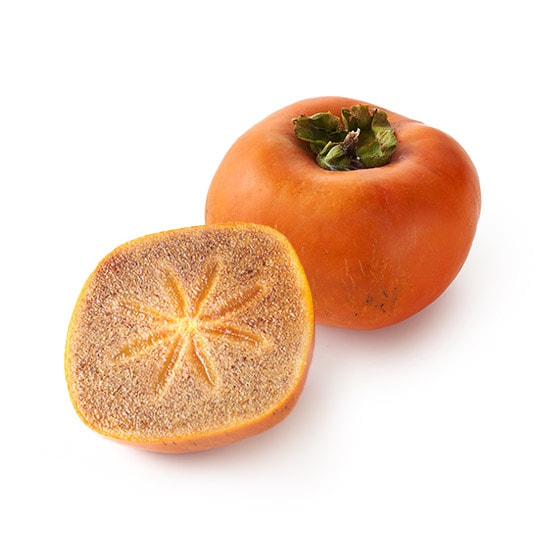ZȊÂ݁I΋̊n݂`(ꌧY)